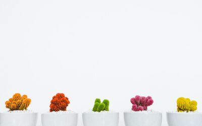 Esplorando il web: 5 elementi fondamentali per il sito di una guida turistica di successo